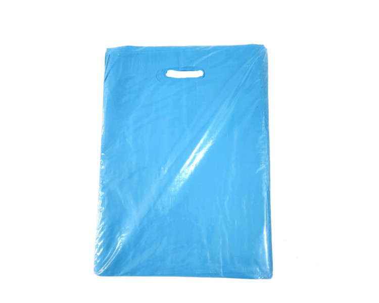 BOLSA TROQUEL AD ECO LISA 30X40 CELESTE (X50) BOLSA TROQUEL AD ECO LISA 30X40 CELESTE (X50)