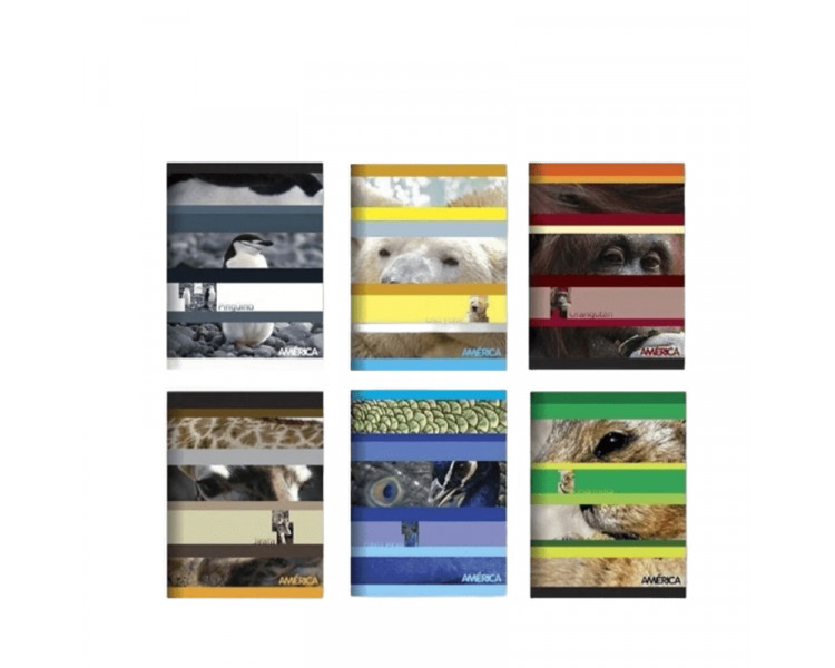 CUADERNO AMERICA T/FLEX RAYADO 24 HJS - 000121/001