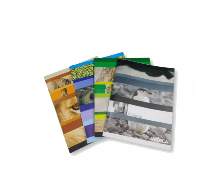 CUADERNO AMERICA T/FLEX RAYADO 86 HJS - 007170/001