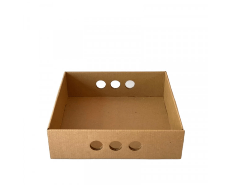 BANDEJA PARA DESAYUNO/CATERING KRAFT 25 X 25 X 7 CM