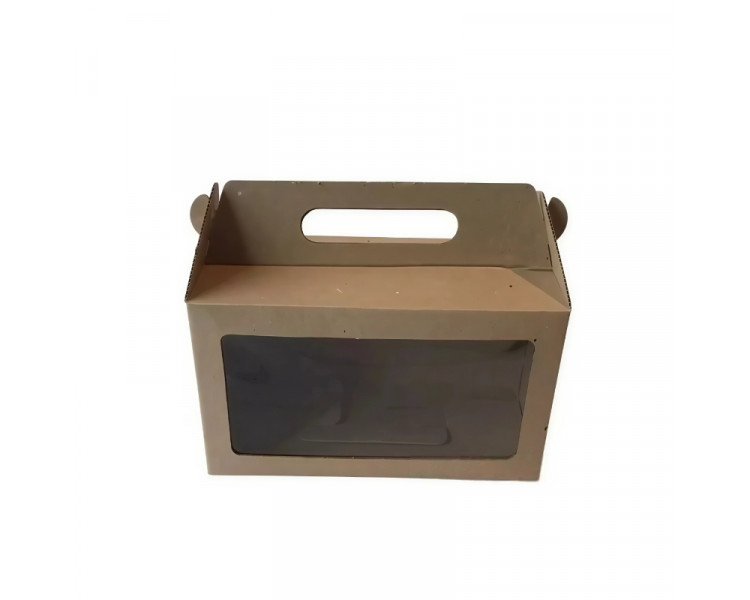 CAJA MALETIN BCA C/VISOR LISO 25X14X13 XU.