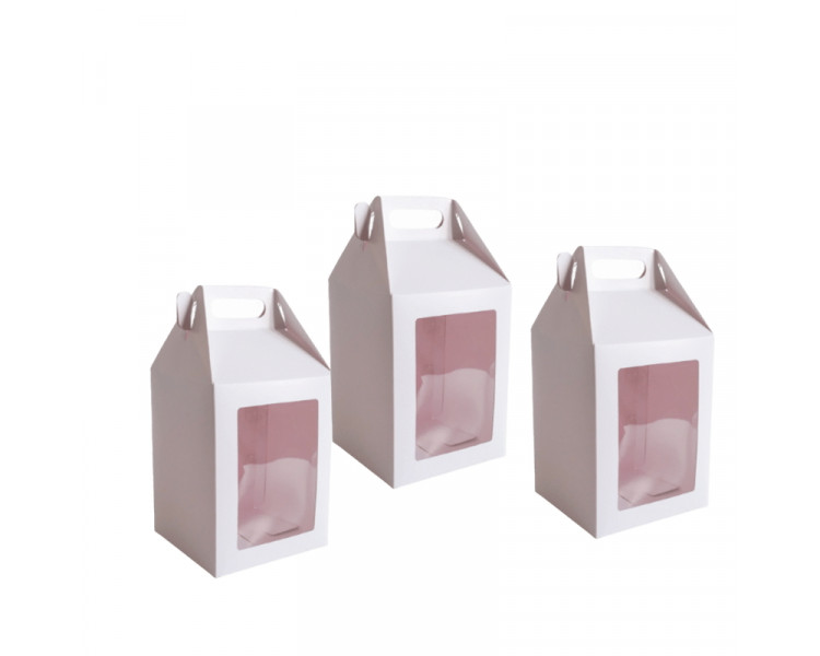 CAJITA FELIZ BLANCA C/VISOR IMPRESO 9.5X12.5X9 XU.