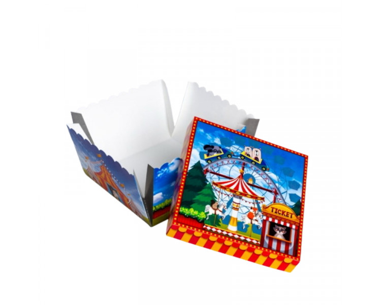 CAJA SORPRESA FELIZ  BRAULIO 19X19X12,5 (X1)