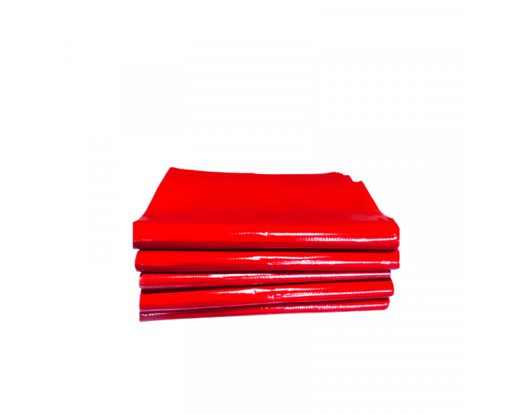 CONSORCIO 90 X 120 PATOLOGICA ROJO (X10)