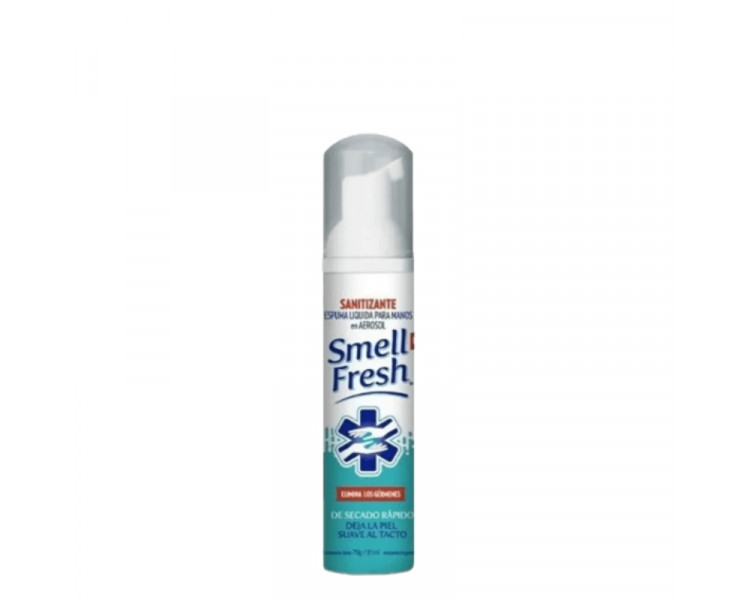 DESINFECTANTE SMELL FRESH MANOS ESPUMA AEROSOL