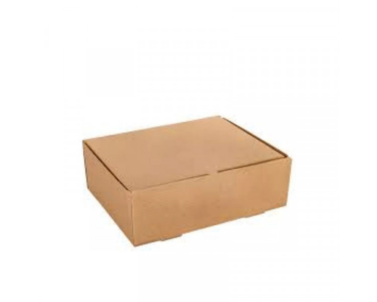 CAJA EMPANADA MICRO Nº 2 M/M P/4 EMP.(X1) ACONCAGUA *