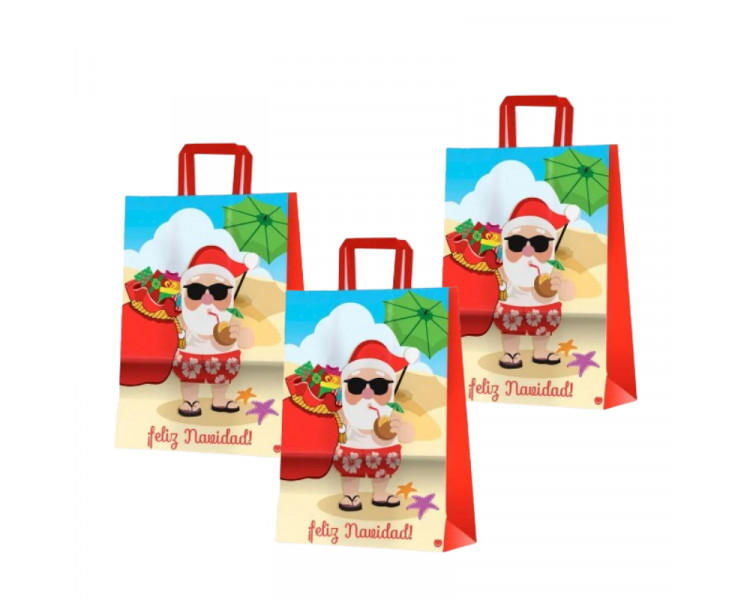 BP SUMMER NOEL 22X10X30 (X1)