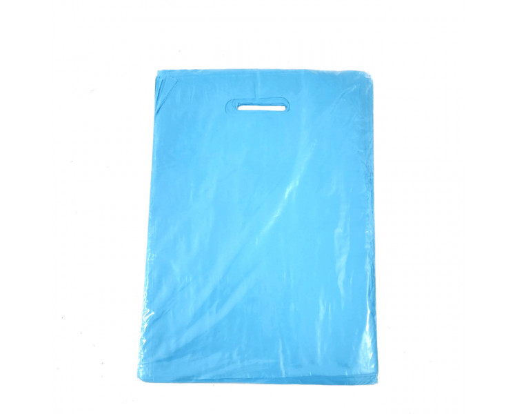 BOLSA TROQUEL AD ECO LISA 25X35 CELESTE (X50)